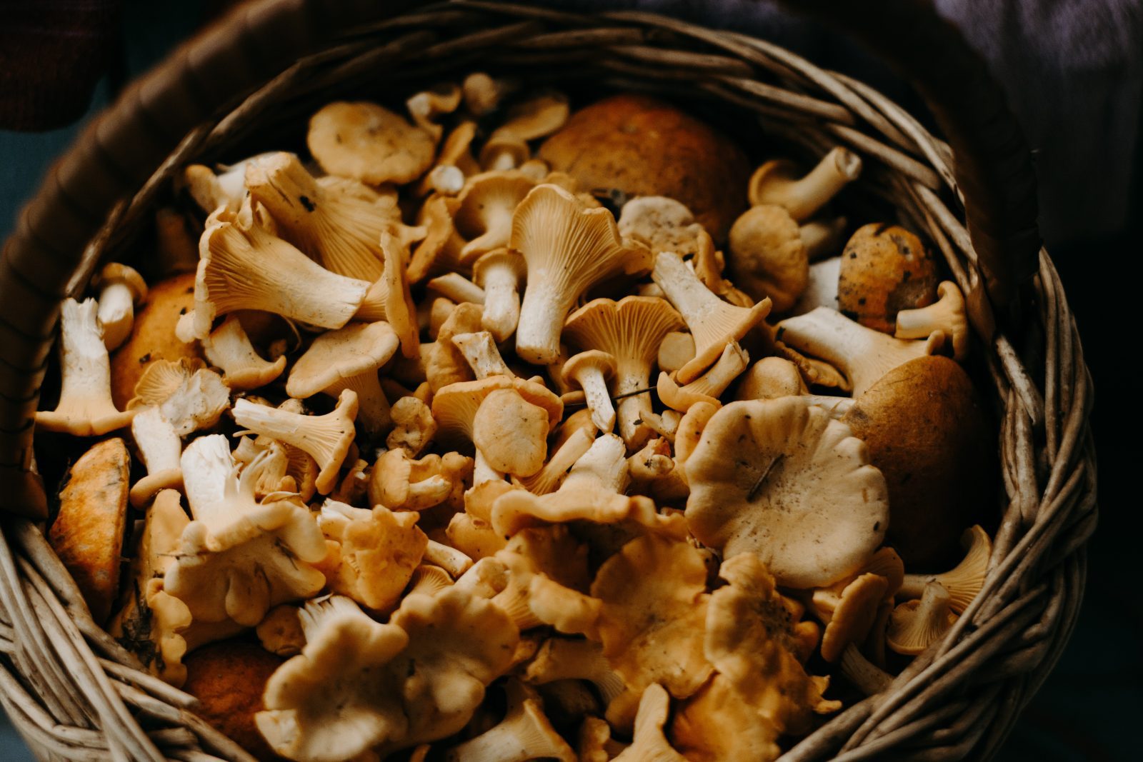 Čočková sekaná často vyžaduje přídavek hub a ořechů. Ty zajistí, že se sekaná nerozpadne.